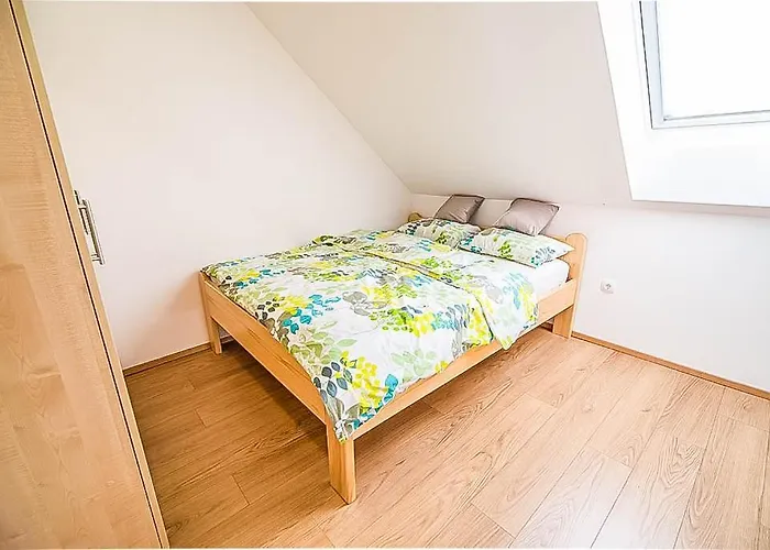 Bor * 포드체트르테크